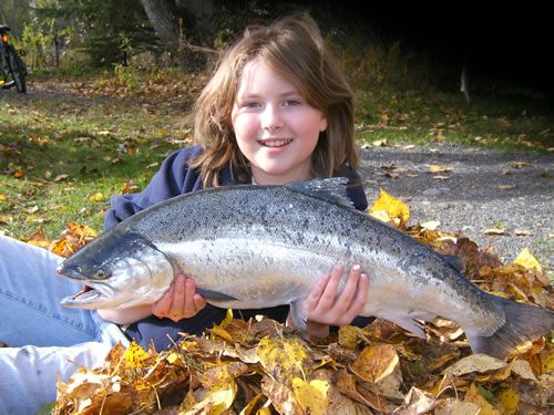 Silver Salmon on the Kenai River